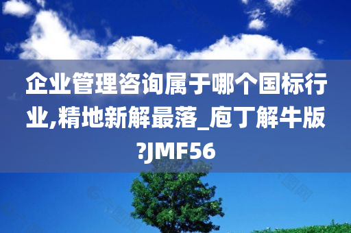 企业管理咨询属于哪个国标行业,精地新解最落_庖丁解牛版?JMF56