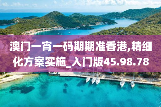 澳门一宵一码期期准香港,精细化方案实施_入门版45.98.78