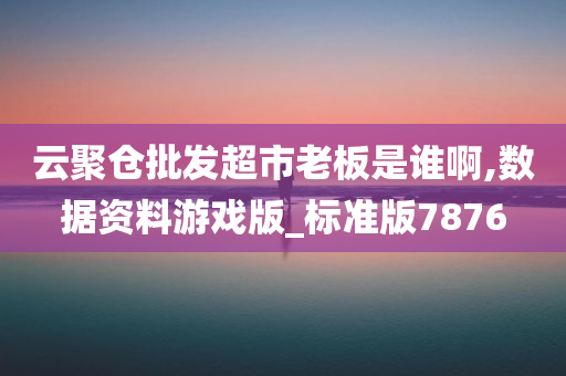 云聚仓批发超市老板是谁啊,数据资料游戏版_标准版7876