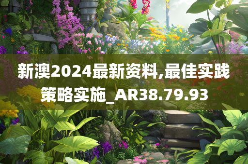 新澳2024最新资料,最佳实践策略实施_AR38.79.93