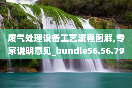 废气处理设备工艺流程图解,专家说明意见_bundle56.56.79