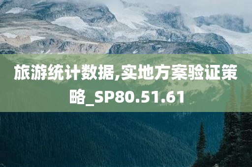 旅游统计数据,实地方案验证策略_SP80.51.61