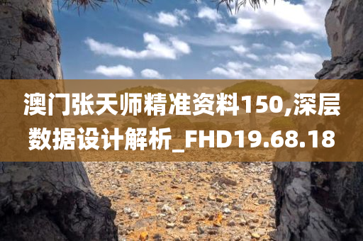 澳门张天师精准资料150,深层数据设计解析_FHD19.68.18