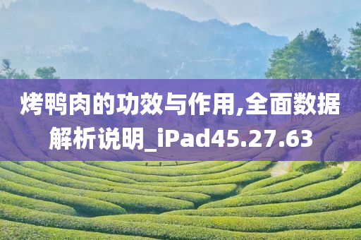 烤鸭肉的功效与作用,全面数据解析说明_iPad45.27.63