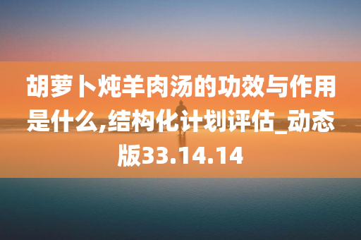 胡萝卜炖羊肉汤的功效与作用是什么,结构化计划评估_动态版33.14.14