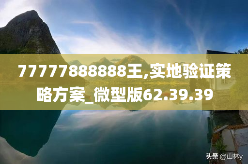 77777888888王,实地验证策略方案_微型版62.39.39