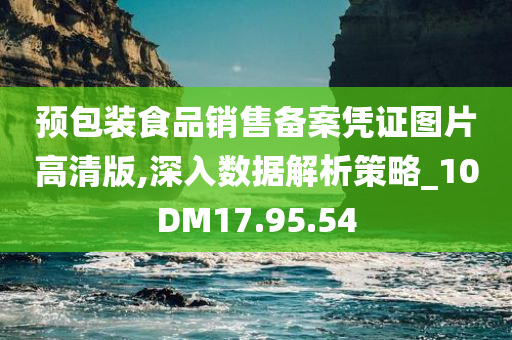 预包装食品销售备案凭证图片高清版,深入数据解析策略_10DM17.95.54