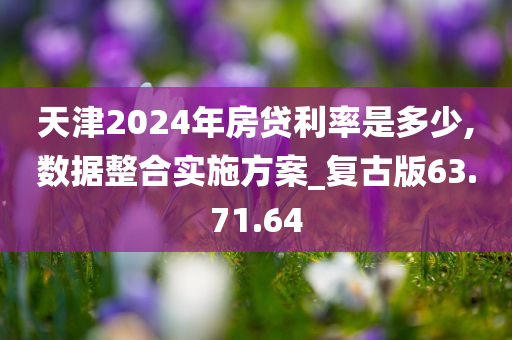 天津2024年房贷利率是多少,数据整合实施方案_复古版63.71.64