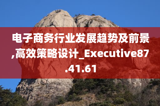 电子商务行业发展趋势及前景,高效策略设计_Executive87.41.61