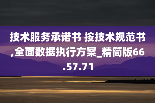 技术服务承诺书 按技术规范书,全面数据执行方案_精简版66.57.71