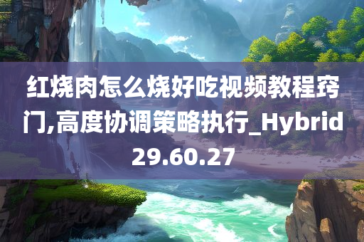 红烧肉怎么烧好吃视频教程窍门,高度协调策略执行_Hybrid29.60.27