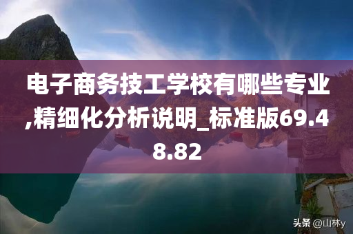 电子商务技工学校有哪些专业,精细化分析说明_标准版69.48.82