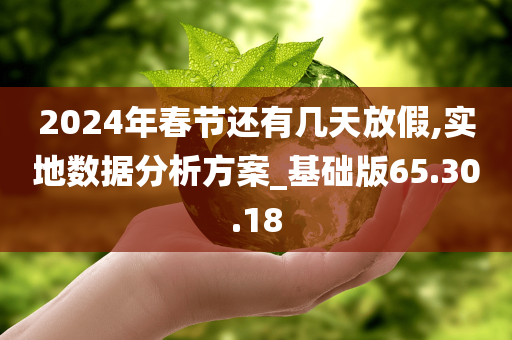 2024年春节还有几天放假,实地数据分析方案_基础版65.30.18