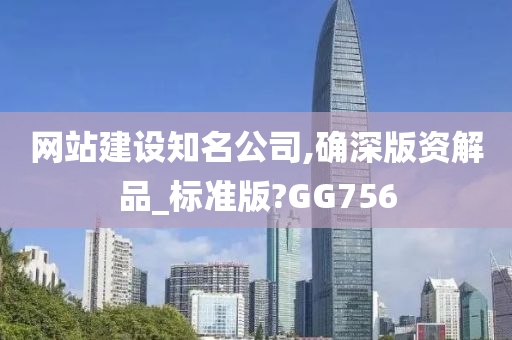 网站建设知名公司,确深版资解品_标准版?GG756