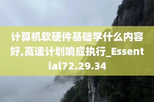 计算机软硬件基础学什么内容好,高速计划响应执行_Essential72.29.34