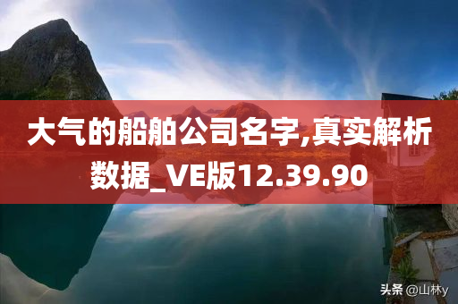 大气的船舶公司名字,真实解析数据_VE版12.39.90