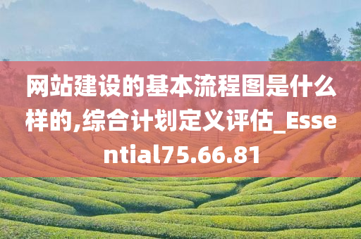 网站建设的基本流程图是什么样的,综合计划定义评估_Essential75.66.81