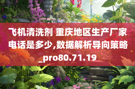 飞机清洗剂 重庆地区生产厂家电话是多少,数据解析导向策略_pro80.71.19