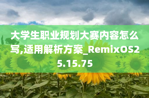 大学生职业规划大赛内容怎么写,适用解析方案_RemixOS25.15.75