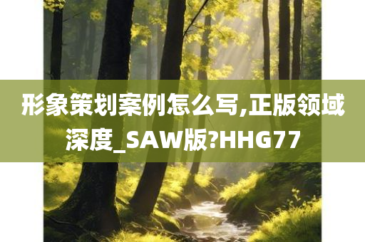 形象策划案例怎么写,正版领域深度_SAW版?HHG77