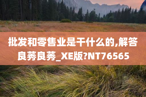 批发和零售业是干什么的,解答良莠良莠_XE版?NT76565