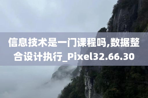 信息技术是一门课程吗,数据整合设计执行_Pixel32.66.30