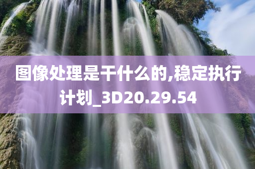 图像处理是干什么的,稳定执行计划_3D20.29.54