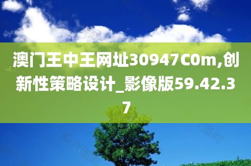 澳门王中王网址30947C0m,创新性策略设计_影像版59.42.37