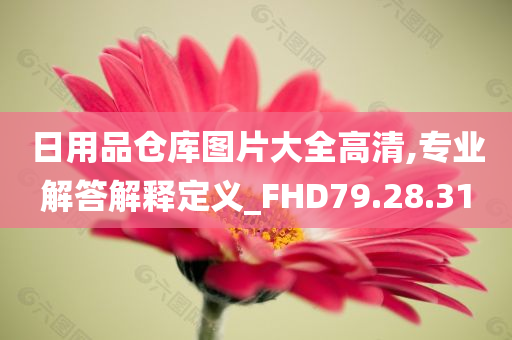 日用品仓库图片大全高清,专业解答解释定义_FHD79.28.31