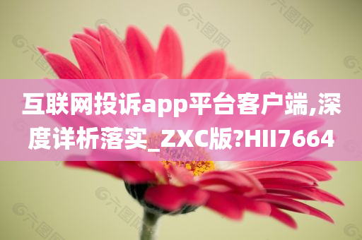 互联网投诉app平台客户端,深度详析落实_ZXC版?HII7664