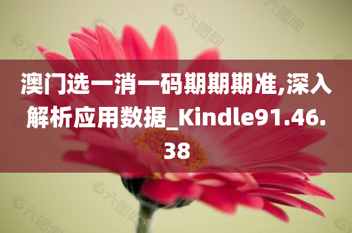 澳门选一消一码期期期准,深入解析应用数据_Kindle91.46.38