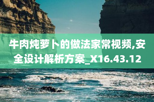 牛肉炖萝卜的做法家常视频,安全设计解析方案_X16.43.12