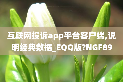 互联网投诉app平台客户端,说明经典数据_EQQ版?NGF89