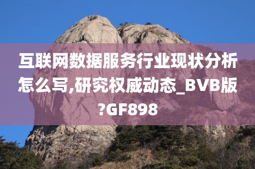 互联网数据服务行业现状分析怎么写,研究权威动态_BVB版?GF898