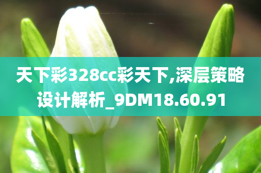 天下彩328cc彩天下,深层策略设计解析_9DM18.60.91