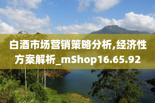 白酒市场营销策略分析,经济性方案解析_mShop16.65.92