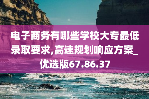 电子商务有哪些学校大专最低录取要求,高速规划响应方案_优选版67.86.37