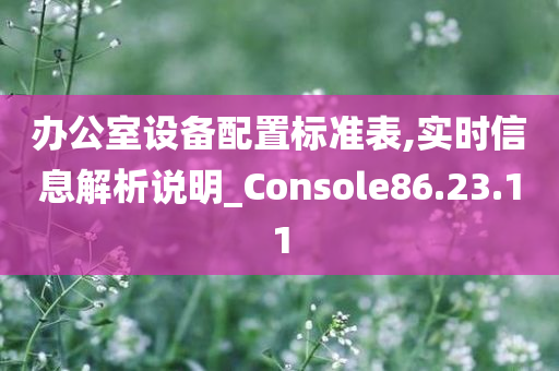 办公室设备配置标准表,实时信息解析说明_Console86.23.11