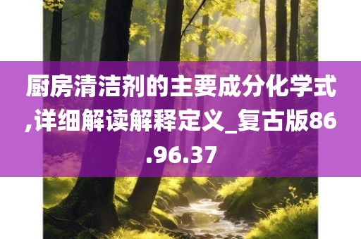 厨房清洁剂的主要成分化学式,详细解读解释定义_复古版86.96.37