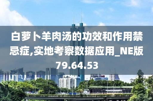 白萝卜羊肉汤的功效和作用禁忌症,实地考察数据应用_NE版79.64.53