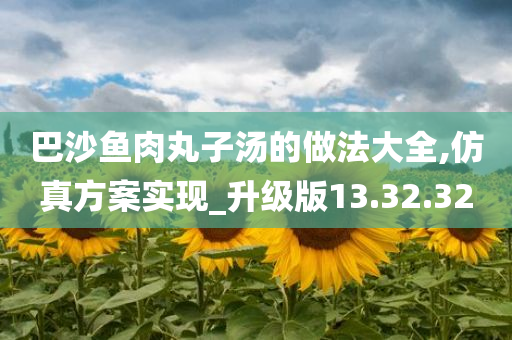 巴沙鱼肉丸子汤的做法大全,仿真方案实现_升级版13.32.32