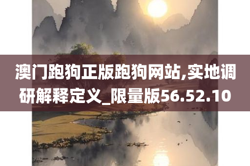 澳门跑狗正版跑狗网站,实地调研解释定义_限量版56.52.10