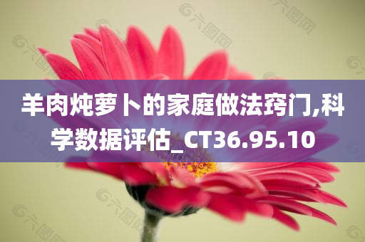 羊肉炖萝卜的家庭做法窍门,科学数据评估_CT36.95.10