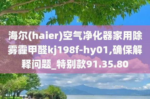 海尔(haier)空气净化器家用除雾霾甲醛kj198f-hy01,确保解释问题_特别款91.35.80