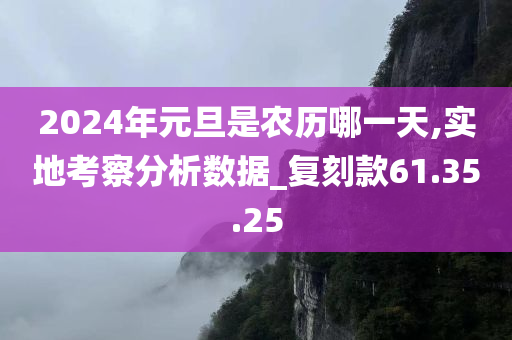 2024年元旦是农历哪一天,实地考察分析数据_复刻款61.35.25