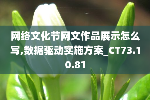 网络文化节网文作品展示怎么写,数据驱动实施方案_CT73.10.81