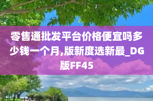 零售通批发平台价格便宜吗多少钱一个月,版新度选新最_DG版FF45