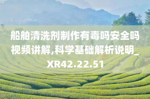 船舶清洗剂制作有毒吗安全吗视频讲解,科学基础解析说明_XR42.22.51