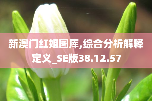 新澳门红姐图库,综合分析解释定义_SE版38.12.57