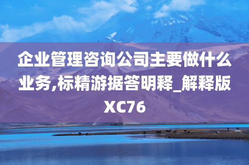 企业管理咨询公司主要做什么业务,标精游据答明释_解释版XC76